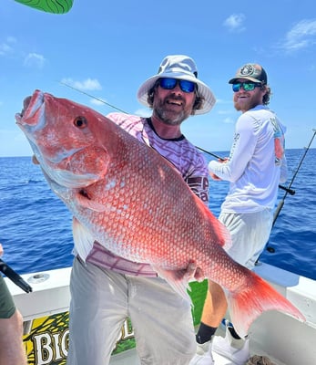 449848486_782998133971132_2897176331471485280_n