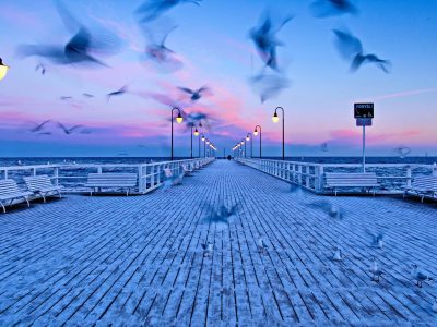 Clearwater-Beach-Fishing-Charter